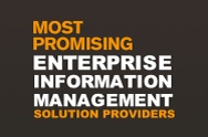 Most promising enterprise information management solution providers