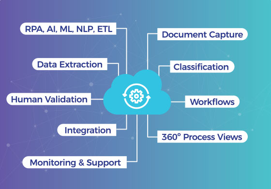 Data branches connected to a process automation cloud