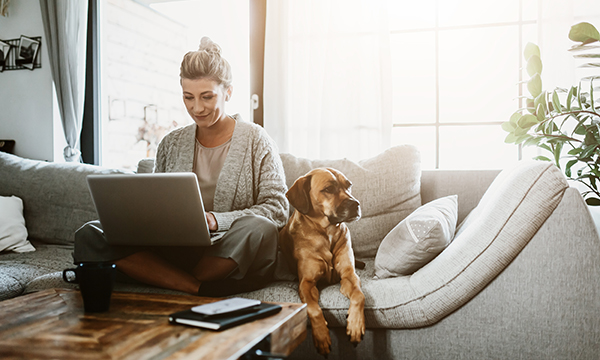 Woman sitting on a couch with a laptop and dog